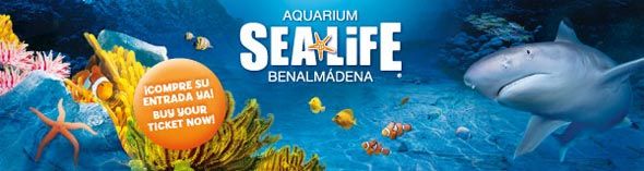 El mundo submarino de Sea Life Benalmádena 1