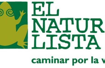 Ofertas zapatos El Naturalista 4