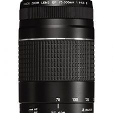 Canon EF 75-300mm/1:4,0-5,6 III – Objetivo para Canon (distancia focal